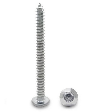 #12 X 2-1/2" Long Screw 6 Lobe(T-27)