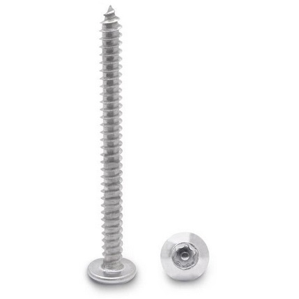 Stainless Steel #12 X 2-1/2" Long Screw 6 Lobe(T-27)