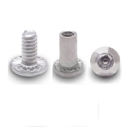 Stainless Steel Torque Head Barrel Nut Shoulder Screw for 1/2" - 3/4" Gripping